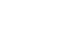 Violet Flower Design